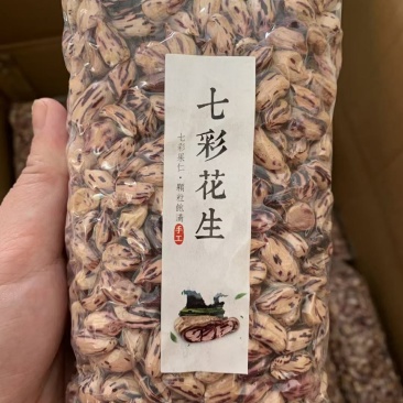 七彩花生，花生，云南花生