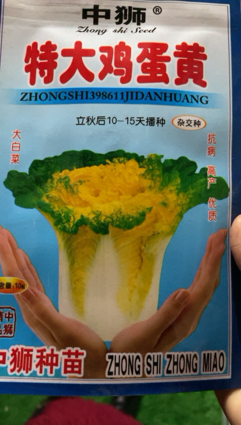 鸡蛋黄白菜种子黄心大白菜抗病高产蔬菜种子