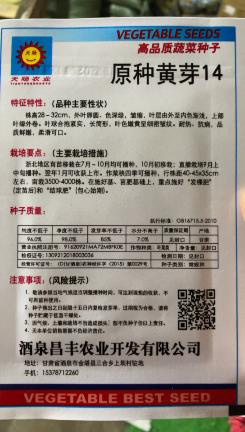 大白菜原种黄牙14大白菜种子