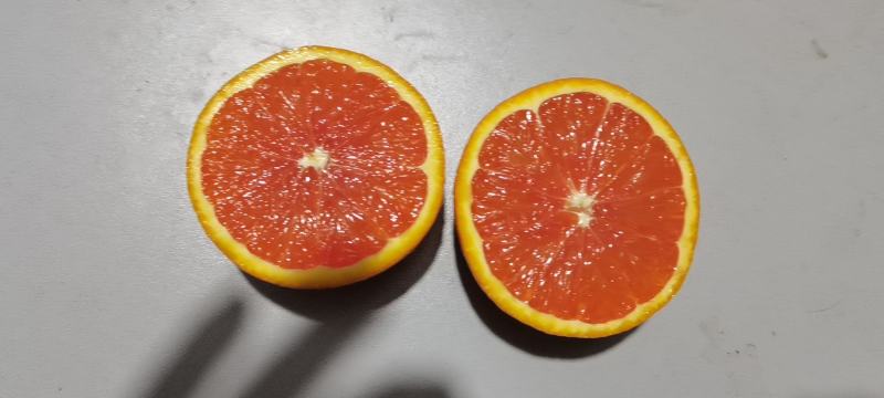 【热卖推荐】精品宜昌脐橙口味纯正，现货产地直发欢迎选购