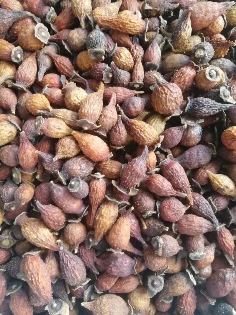 【精选】金樱子，货品新鲜，价格美丽，量大从优