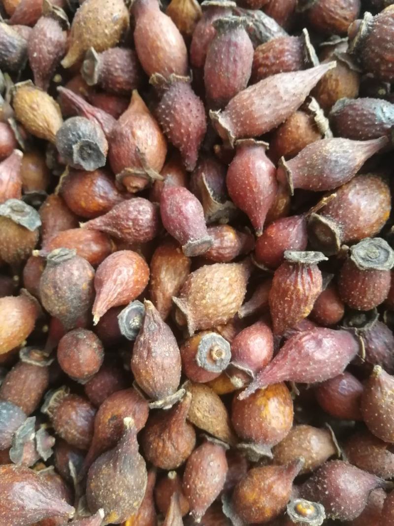 【精选】金樱子，货品新鲜，价格美丽，量大从优