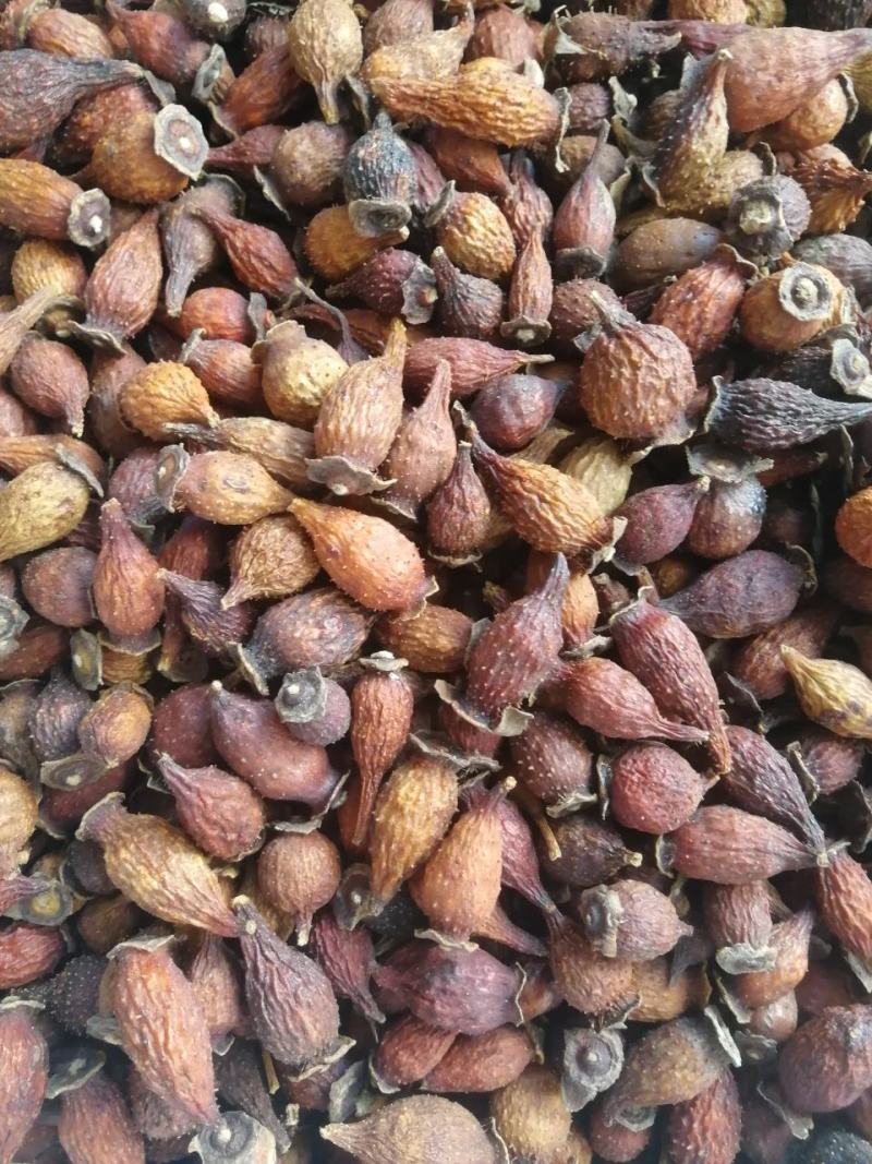 【精选】金樱子，货品新鲜，价格美丽，量大从优
