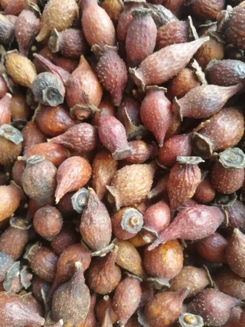 【精选】金樱子，货品新鲜，价格美丽，量大从优