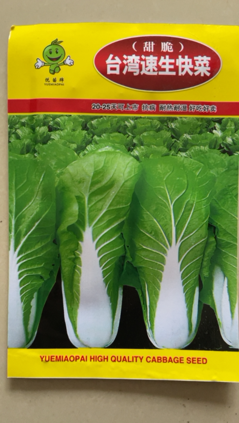 快菜台湾速生快菜种子四季种植蔬菜种子