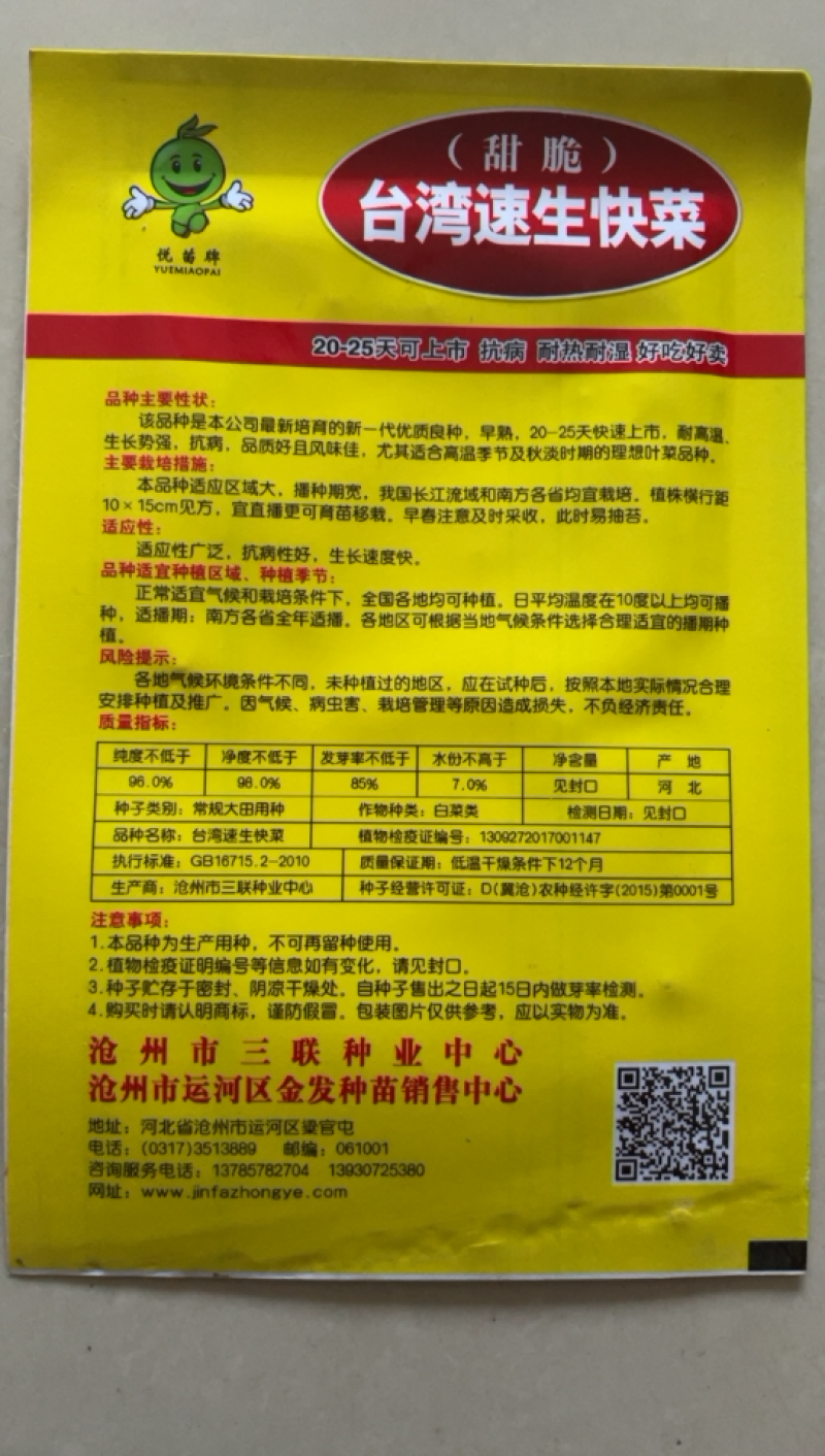 快菜台湾速生快菜种子四季种植蔬菜种子