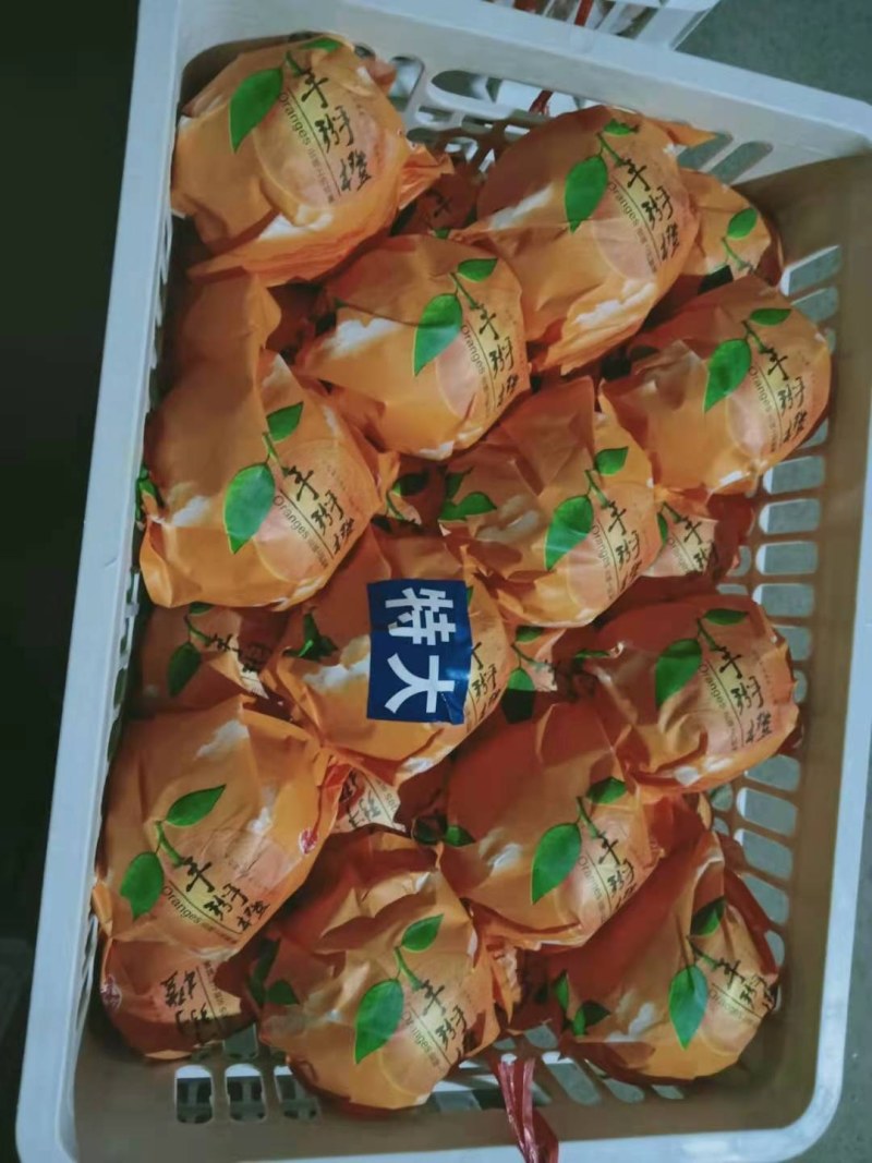 纽荷尔物美价廉，口感香甜，需要的老板加快速度