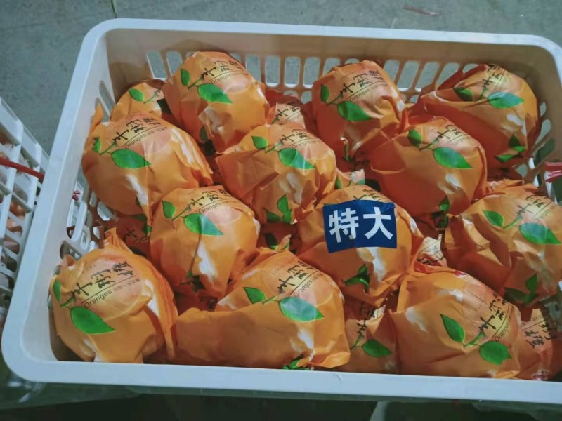纽荷尔物美价廉，口感香甜，需要的老板加快速度