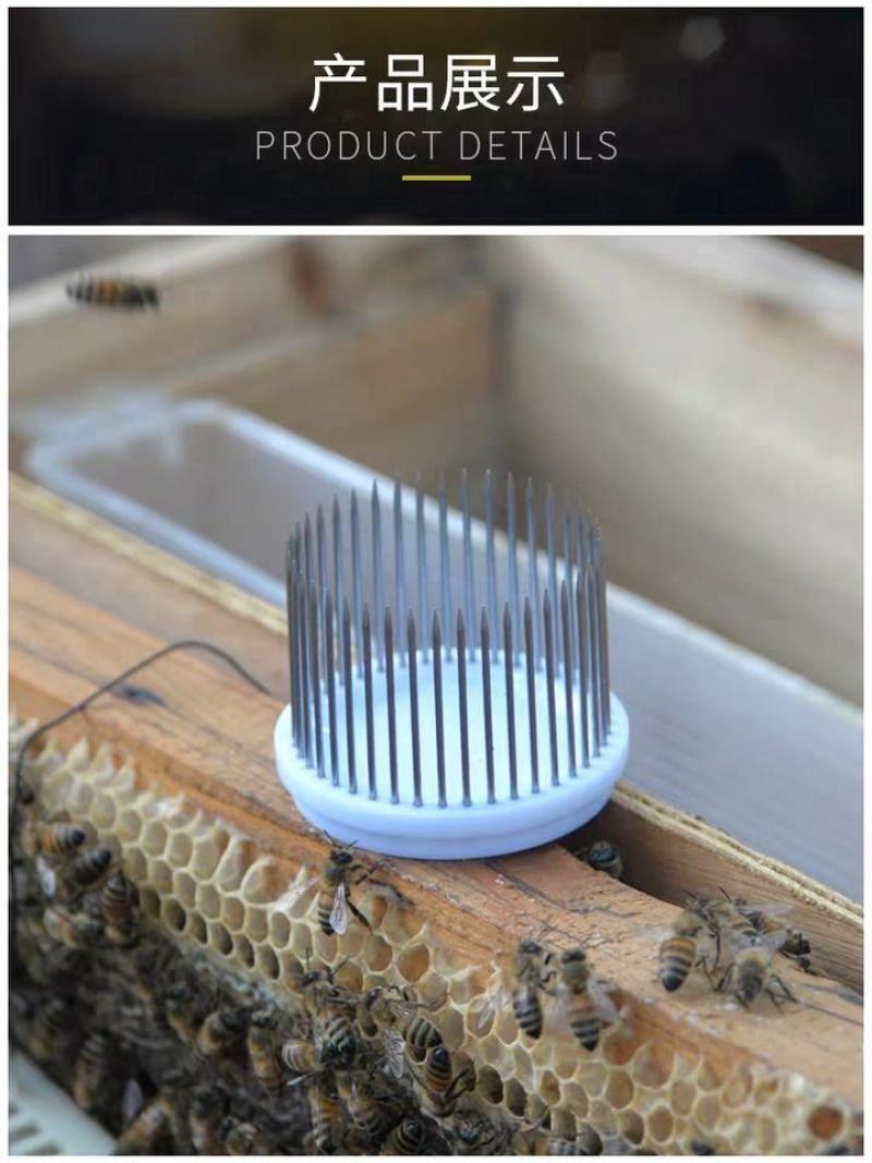 不锈钢针式王笼蜂王笼囚王笼关蜜蜂钢针扣王器中蜂专用王笼