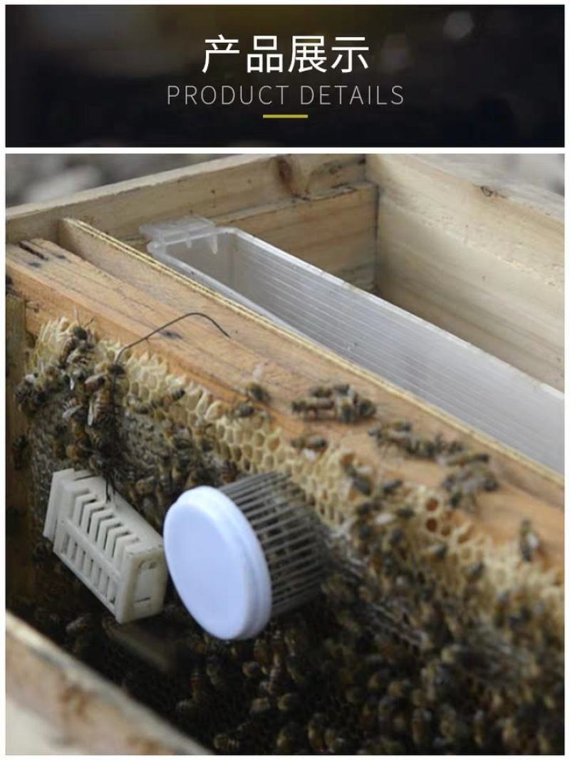不锈钢针式王笼蜂王笼囚王笼关蜜蜂钢针扣王器中蜂专用王笼