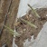 绿芦笋白芦笋紫芦笋保质保量量大从优