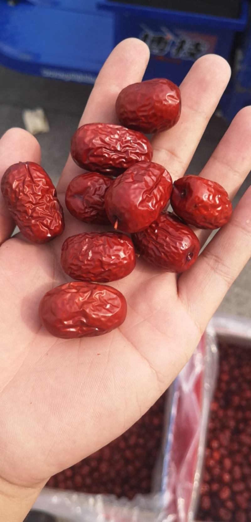 新疆红枣，一级枣，颗颗饱满颜色漂亮