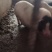 巴马香猪怀孕母猪，后备小母香猪，四川成都彭州市蒙阳镇。