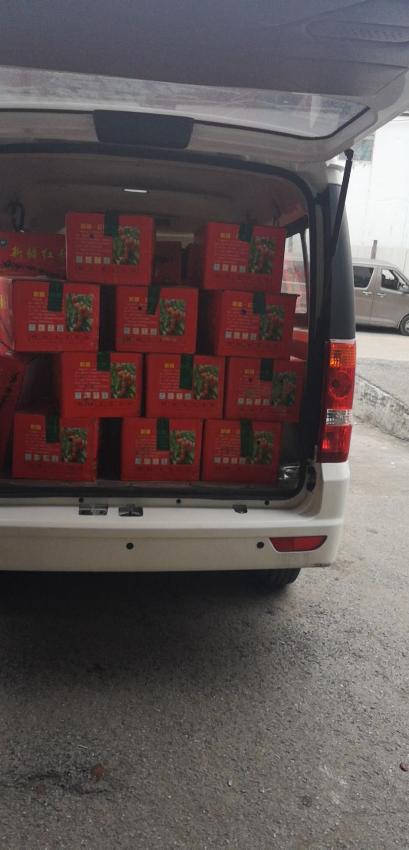 新疆特产灰枣，皮薄肉厚口感甘甜，五斤起售