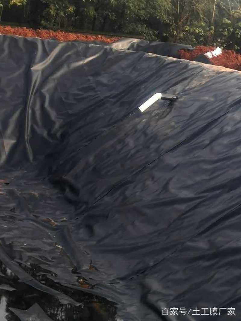 厂家供应鱼池，藕池，虾池用加厚防渗膜土工膜
