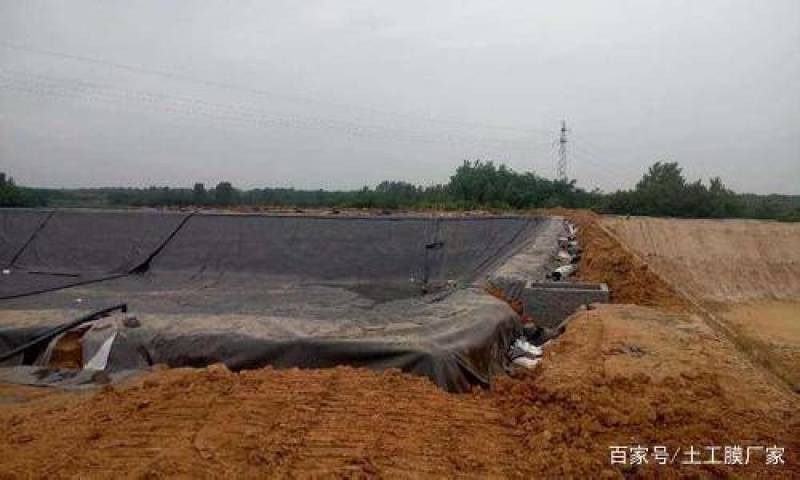 厂家供应鱼池，藕池，虾池用加厚防渗膜土工膜