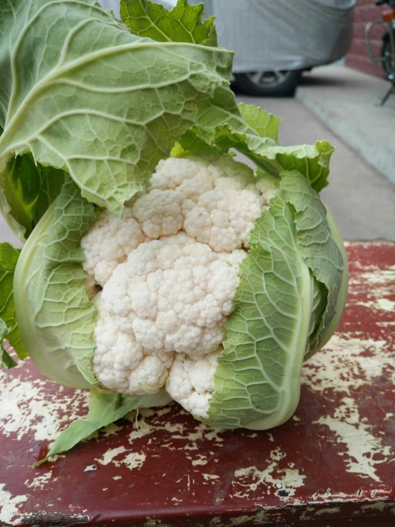 白菜花，紧花有机花，花重1_2斤