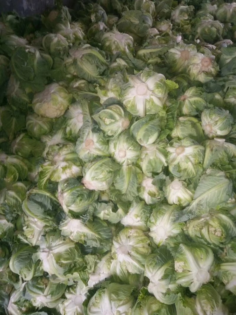 白菜花，紧花有机花，花重1_2斤