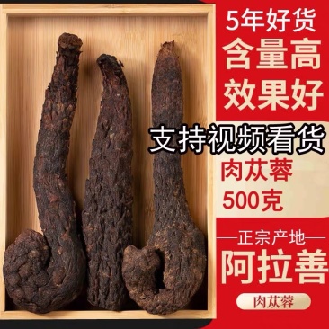 肉苁蓉阿拉善野生新疆中药材批发滋补泡酒料