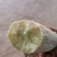 番薯【正宗爆皮王番薯】新鲜爆皮王红薯爆粉地瓜健康营养
