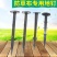 除草布地钉【地钉】塑料园艺除草地钉地布钉除草地布钉地钉