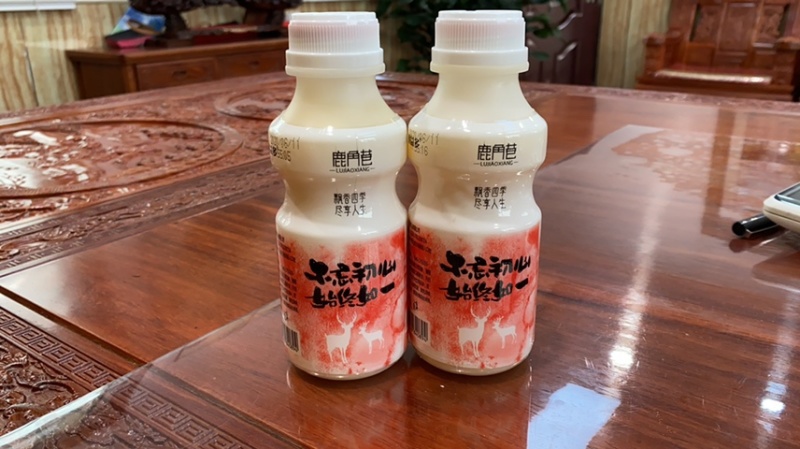 鹿角巷乳酸菌，三九熙赢乳酸菌