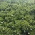 玉树玉树老桩耐旱办公室庭院阳台懒人植物