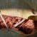 裕丹参山东通货无卢头杂质少，半精品，货干色红