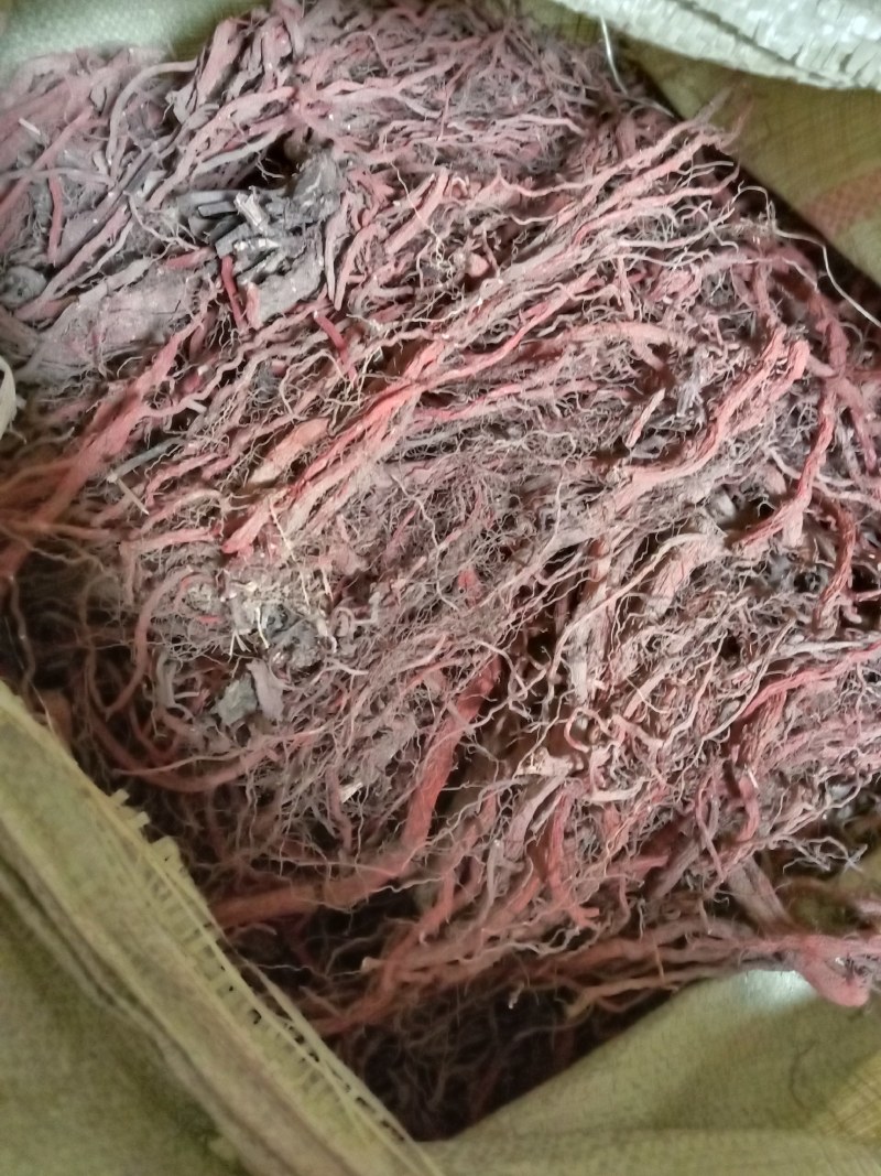 丹参，杂质少，货干，含量高，颜色红
