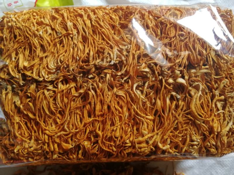 虫草花，干货，货品新鲜，煲汤精品