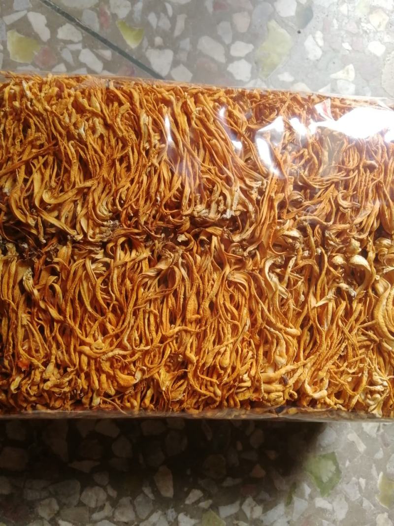 虫草花，干货，货品新鲜，煲汤精品