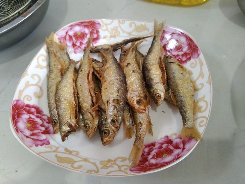 原生态河道毛刀鱼！白条！针头鱼！蓝刀！翘嘴！鳑鲏鱼！