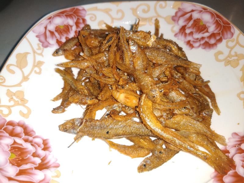 原生态河道毛刀鱼！白条！针头鱼！蓝刀！翘嘴！鳑鲏鱼！