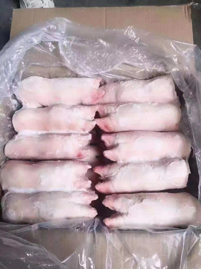 一手货源低价出售猪蹄