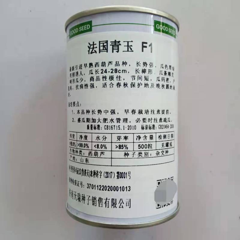 西葫芦种子寒之春大田专用品种油绿品种杂交种子