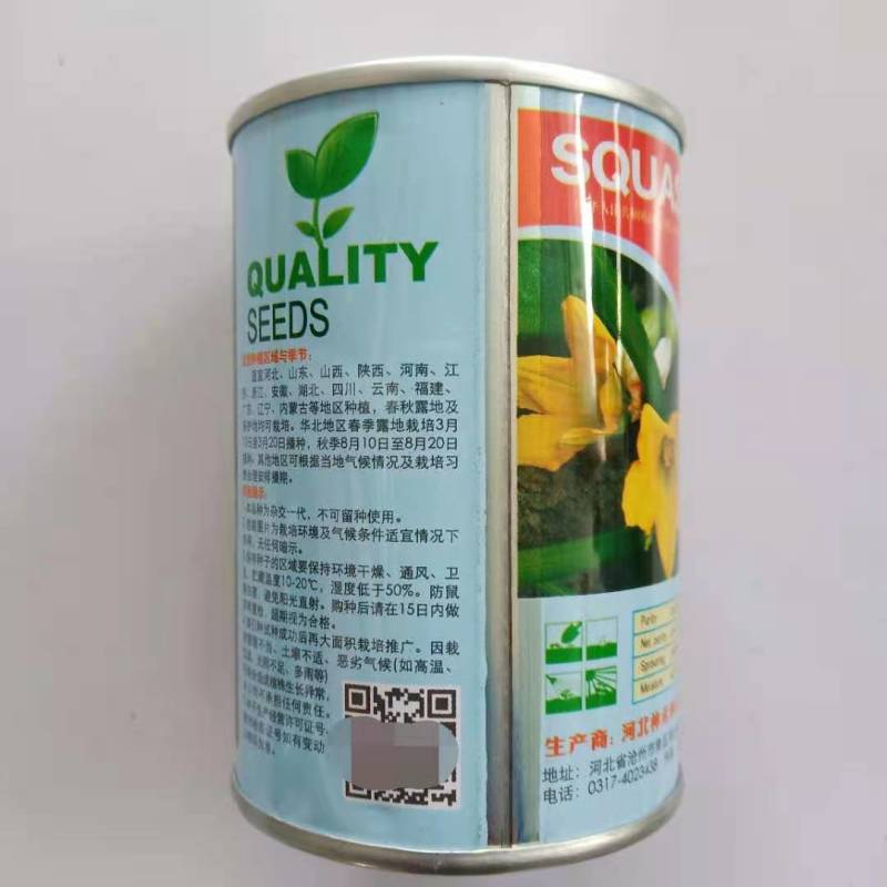 西葫芦种子寒之春大田专用品种油绿品种杂交种子