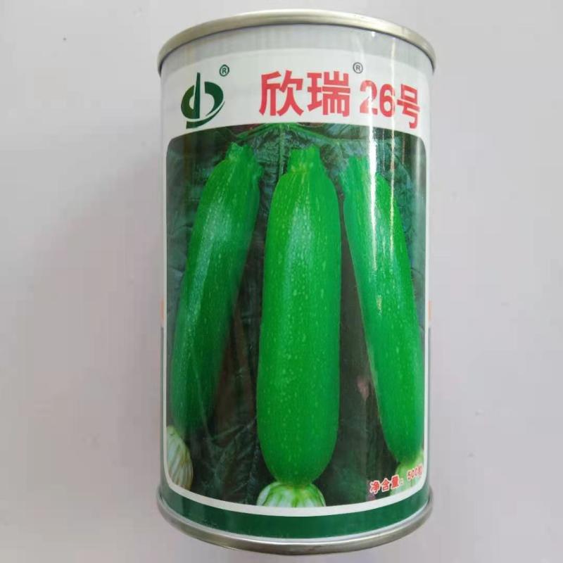 西葫芦种子寒之春大田专用品种油绿品种杂交种子