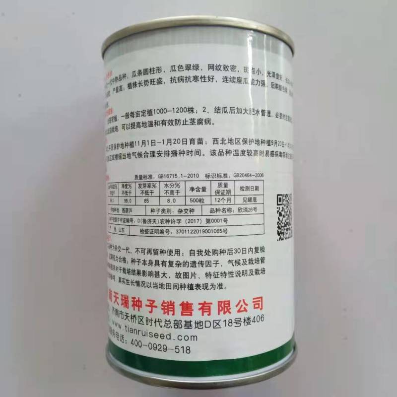 西葫芦种子寒之春大田专用品种油绿品种杂交种子