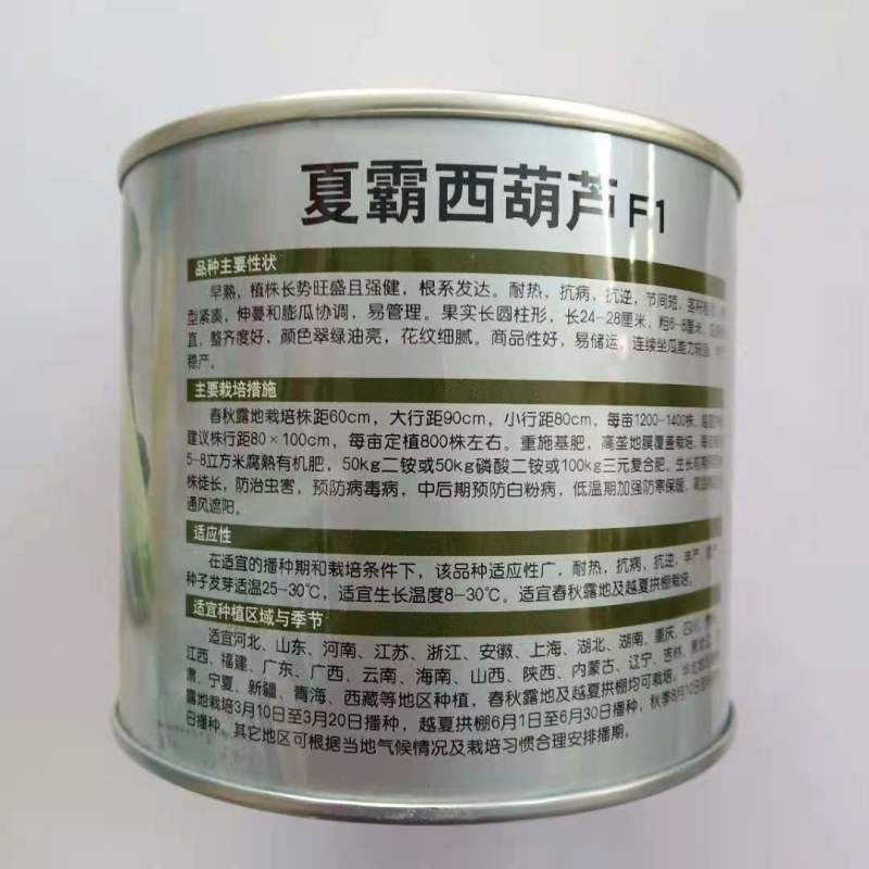 西葫芦种子寒之春大田专用品种油绿品种杂交种子