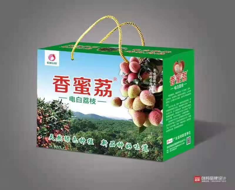 【正品】香蜜荔枝苗仙挑荔枝苗电白荔枝苗提供技术