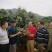 【正品】香蜜荔枝苗仙挑荔枝苗电白荔枝苗提供技术