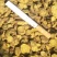 黄芩，切片，统货，过筛0.4无硫***鲜黄芩产地直
