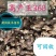 姜种产地直供！质量可靠！提供技术指导！出芽率高！