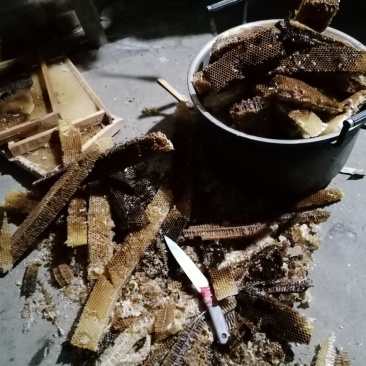 靓货中蜂诱蜂蜂蜡！诱蜂必备！
