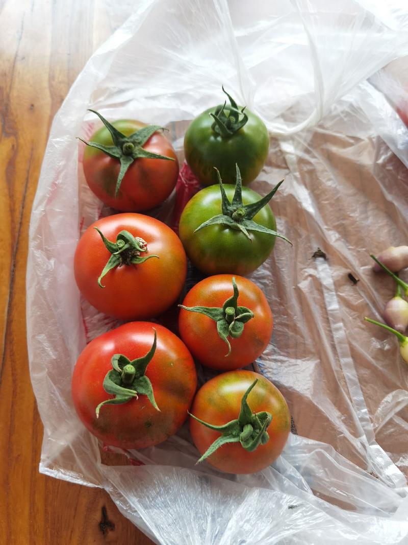 【荐】大红色草莓番茄种子东方红带绿肩口感酸甜硬度好产量高