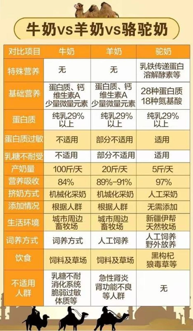 包邮一盒起发新疆正宗骆驼奶，质量保证，