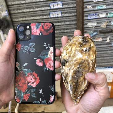 山东蚝乳山蚝100斤装广东发货牡蛎海蛎子