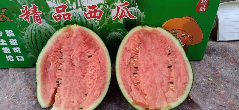 潍坊2K西瓜万亩基地产地直供大量供应一手货源价格实惠
