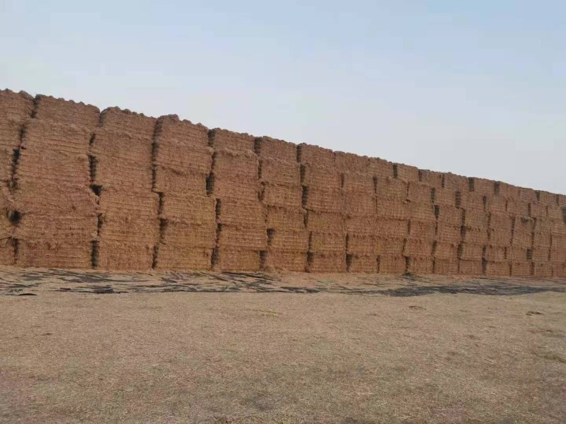 稻草无土无地膜柔丝切断都有质量保证