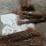 红心软籽石榴树苗，原生苗，保证纯度与品质，